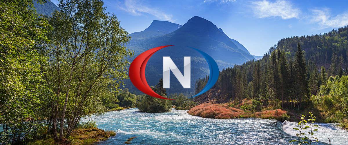 VN logo article